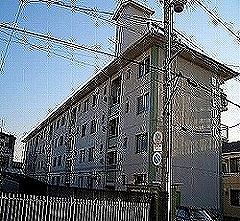 写真あり