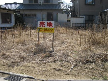 写真あり
