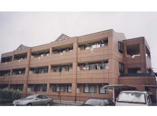 写真あり