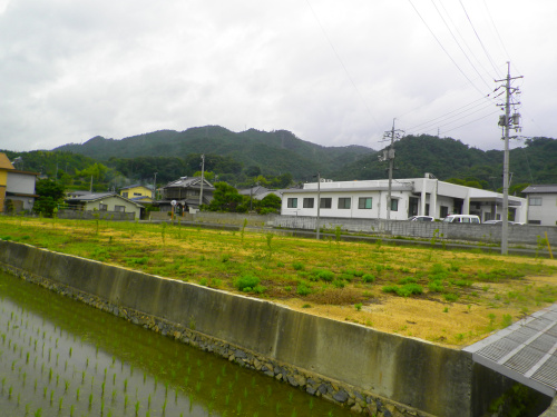 写真あり