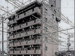 写真あり