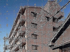 写真あり